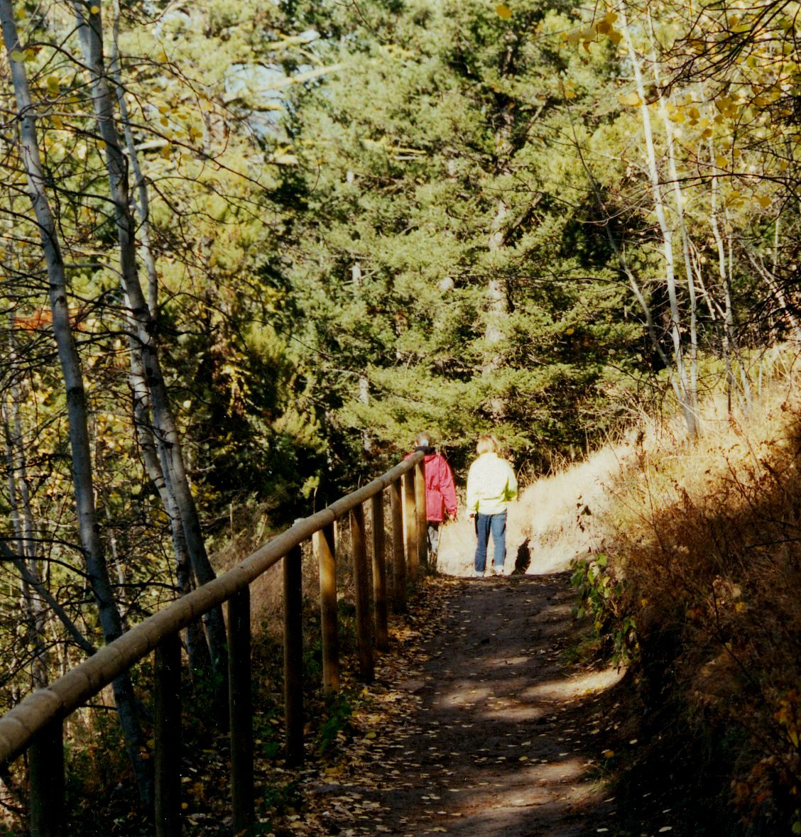 Walking Trails in Logan Lake